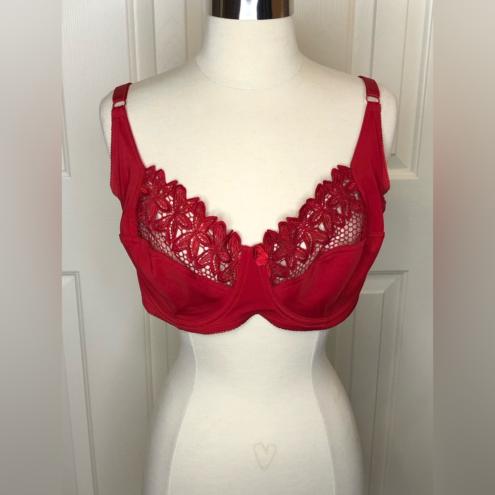 Delta Burke Red Bra - Picture 1 of 2